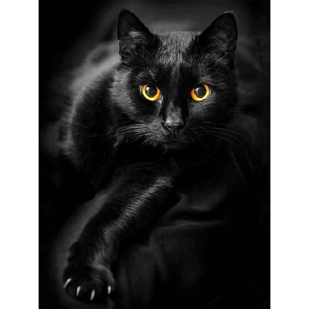 

(Multi-Size) Black Cat - Round/Square Drill Diamond Painting - 30*40CM, Round diamond 30*40cm, 501 Original