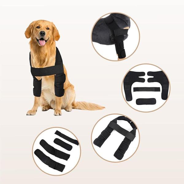 Double Knee Brace for Dogs