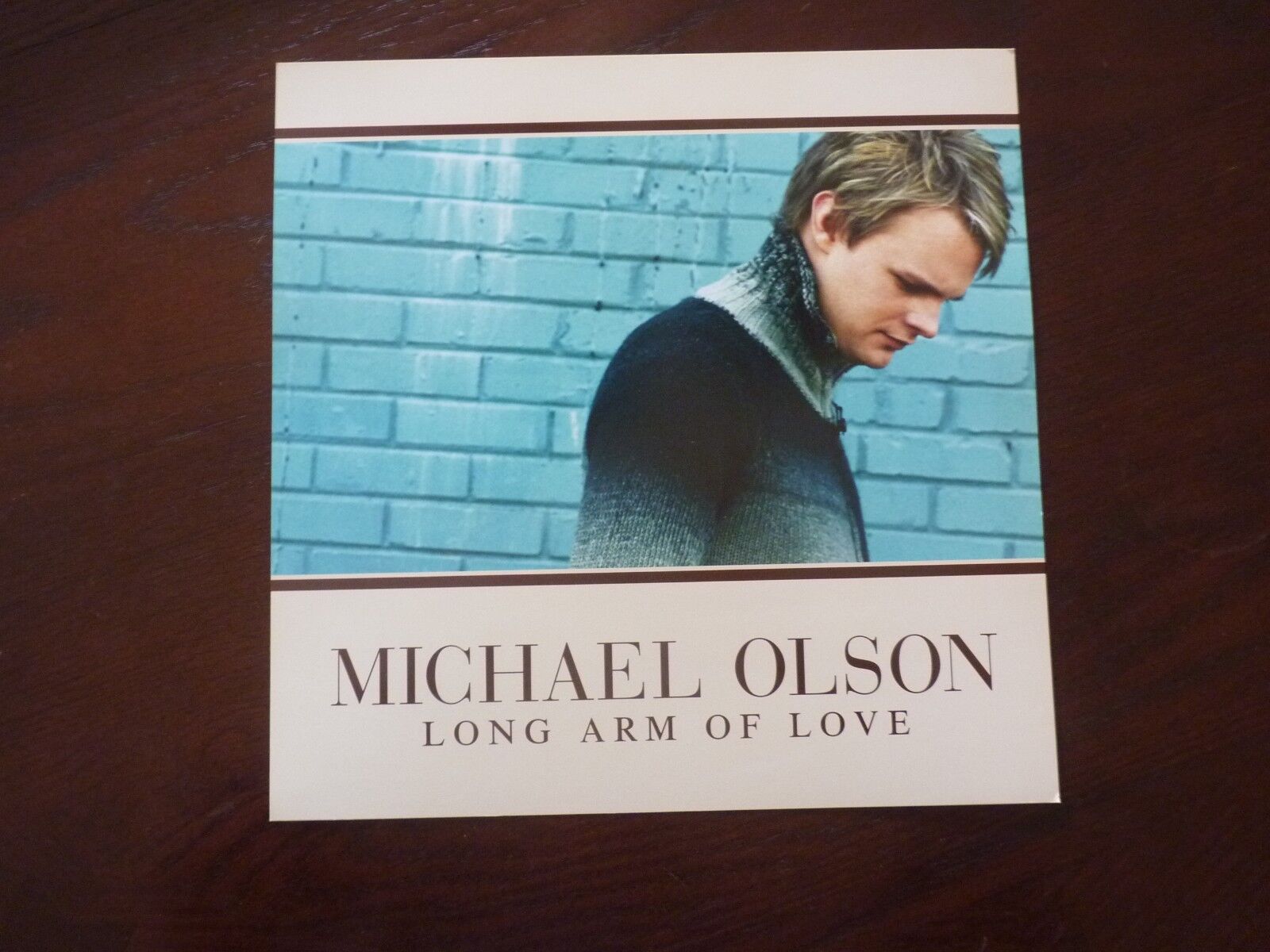 Michael Olson Long Arm of Love LP Record Photo Poster painting Flat 12x12 Poster