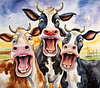 Funny Cows- Round/Square AB Drills Diamond Painting(50x50cm)