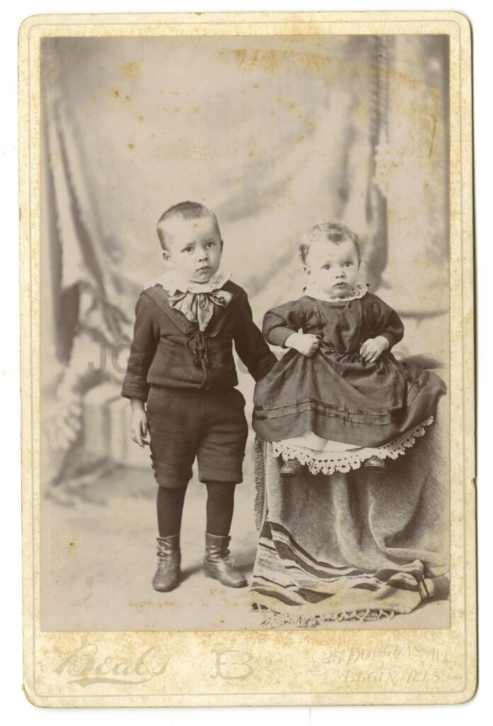 19th Century Children - Original 19th Century Cabinet Card Photo Poster painting - Elgin, IL