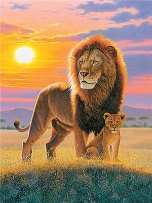 Animal Lion Paint By Numbers Kits UK For Adult Y5663