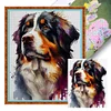 Bernese Mountain Dog-11CT Stamped Cross Stitch 40*50cm