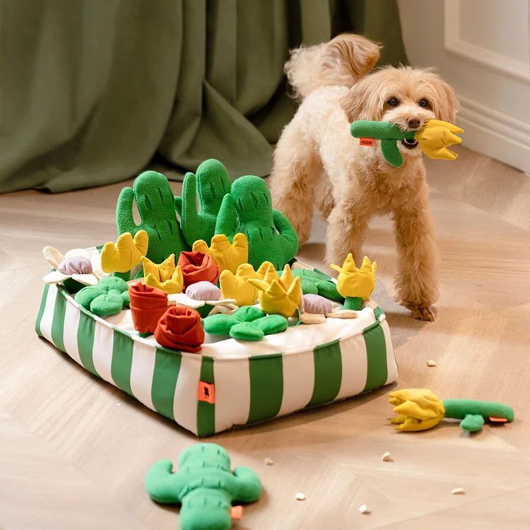 Handmade Succulent Garden Snuffle Mat Toy Dog Toy, Pet Toy