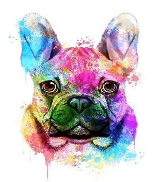 

French Bulldog Colorful – Paint By Numbers - 40*50CM, 501 Original