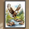 Eagle-Full Square Diamond Painting(35x45cm)