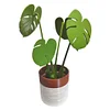 Monstera coaster creative table decoration simulation plant potted magnetic insulation pad tree leaf anti-scalding pad