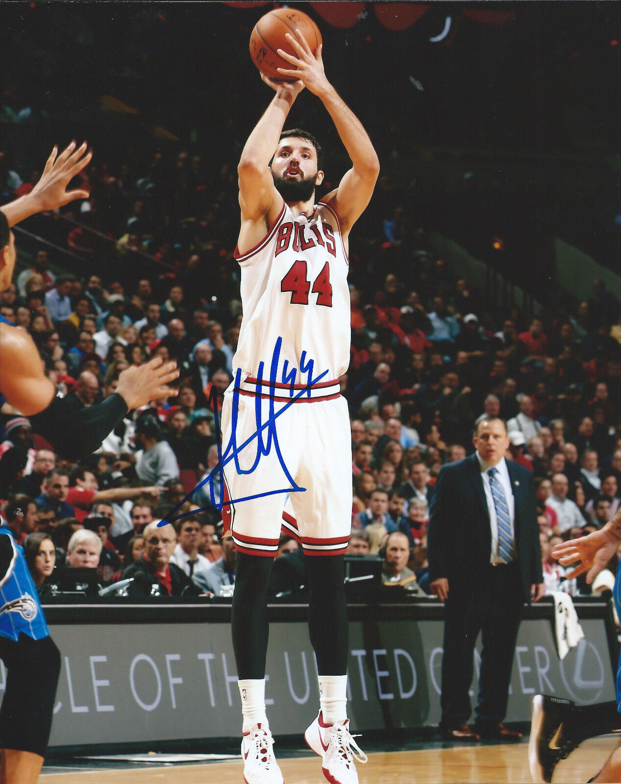 NIKOLA MIROTIC signed autographed CHICAGO BULLS 8x10 Photo Poster painting