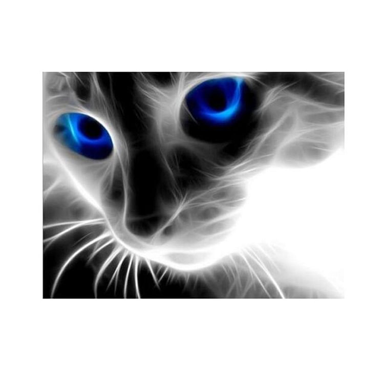 Blue Eyed Cat - Full Round Drill Diamond Painting - 40x30cm(Canvas)