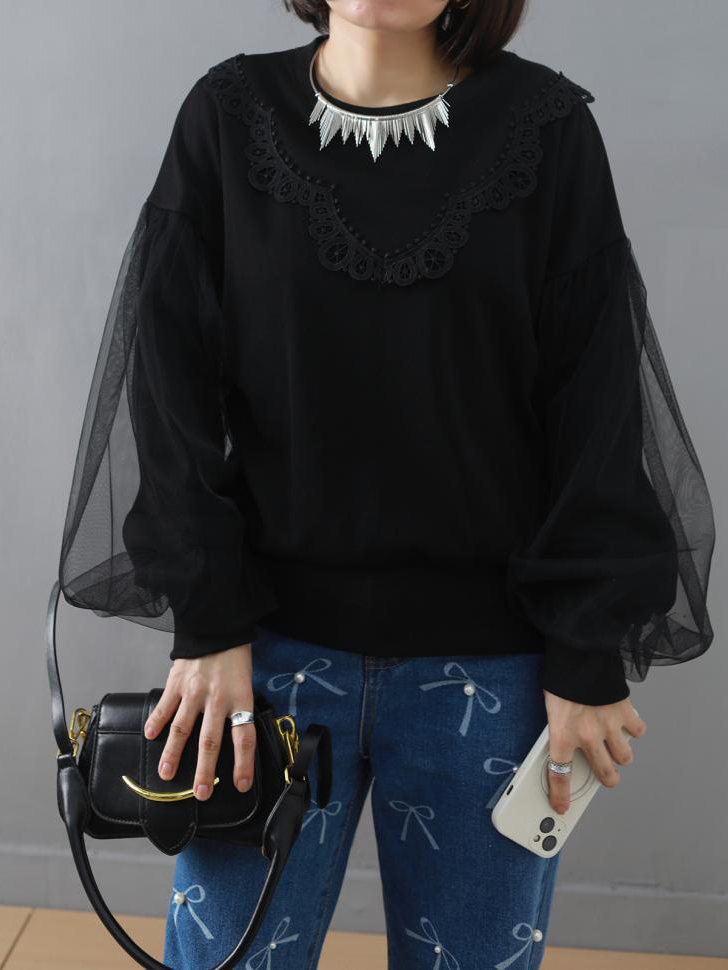 Lace Trim Round Neck Mesh Lantern Long Sleeve Top