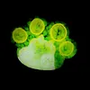 Whimsical LED Art Frame Night Light, Rechargeable Illuminated Decor