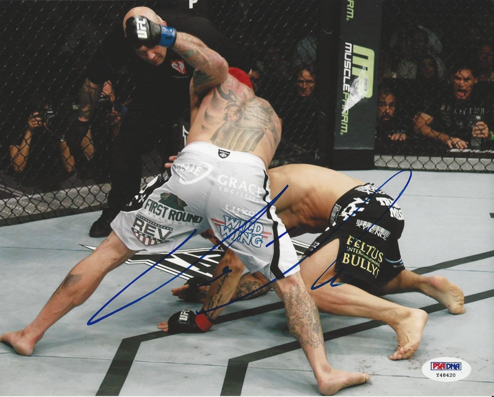 Chris Leben UFC Fighter signed 8x10 Photo Poster painting PSA/DNA # Y48420