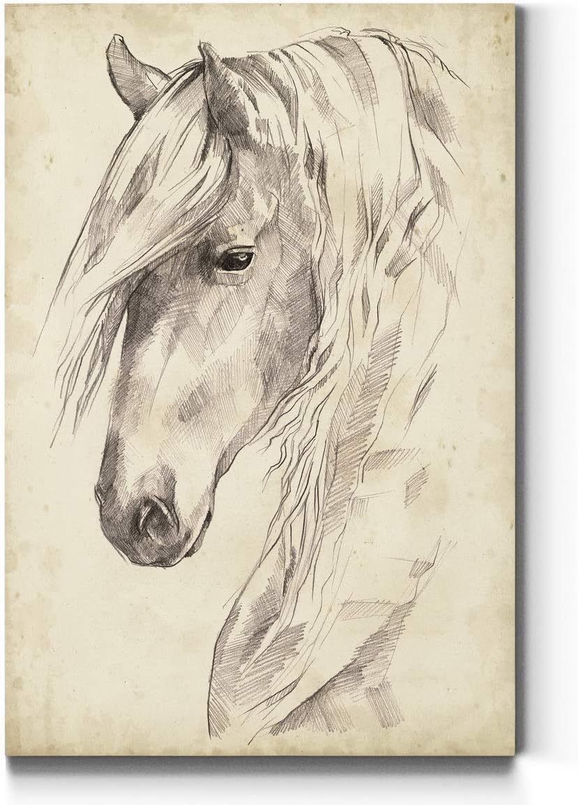 Portrait Style Canvas Wall Art: Animals, Dogs, Birds, Fish, Horses, Elk, Deer, Rustic & Modern Abstract for Home & Office, Ready to Hang - Horse Portrait Sketch II 8X12 8X12