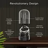 Automatic Mechanical Watch Winder Household Watch Winder