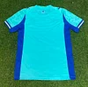 2025/2026 Olympique de Marseille Goalkeeper Lake Blue Football Shirt 1:1 Thai Quality