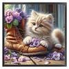 Shoes Cat-11CT Stamped Cross Stitch 40*40cm/15.75*15.75in