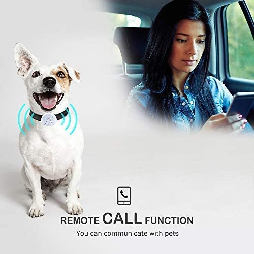 GPS Dog Tracker