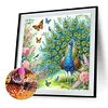 Pfau - speziell geformte Diamantmalerei - 30 * 30cm