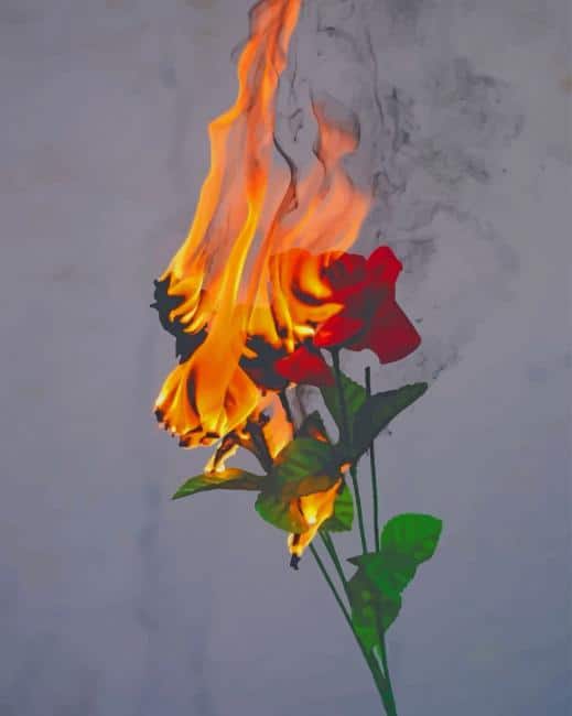 

Rose On Fire – Paint By Numbers - 40*50CM, 501 Original