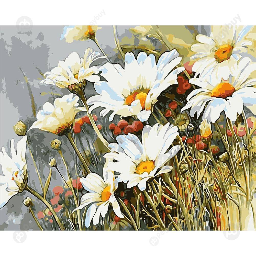 

40*50CM Paint By Numbers-Daisy Plants, 501 Original