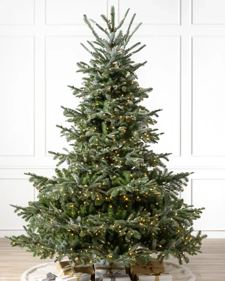 🔥kukelife🔥European Fir?? Tree
