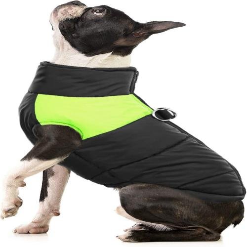 Dog Winter Waterproof Jacket, Zip Up Sports Outwear Pet Apparel for Small Medium Large Dogs
