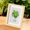12pcs Plants DIY Mini Square Diamond Painting Set 14x18cm