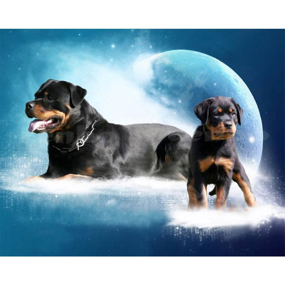 

Rottweiler - Round Drill Diamond Painting - 50*40CM, 501 Original