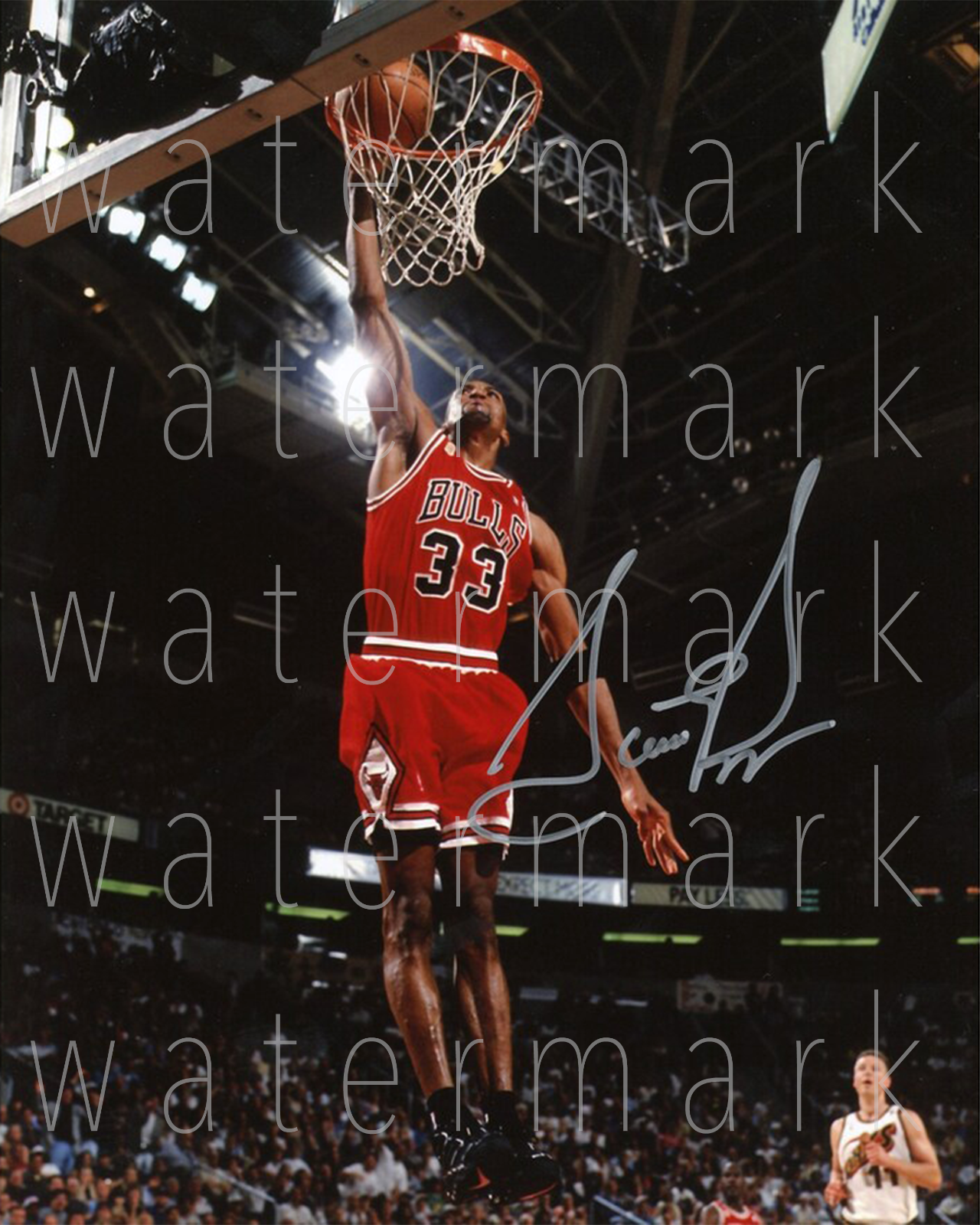 Scottie Pippen Chicago Bulls signed 8X10 inch Photo Poster painting picture poster wall art rp