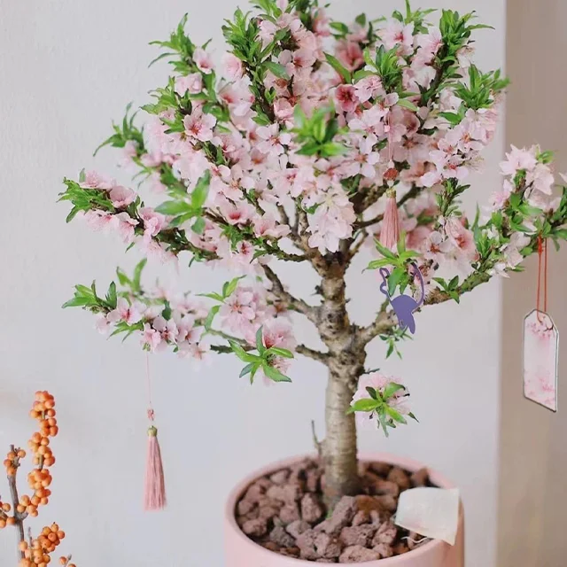 Peach Blossom Bonsai Houseplant Seeds