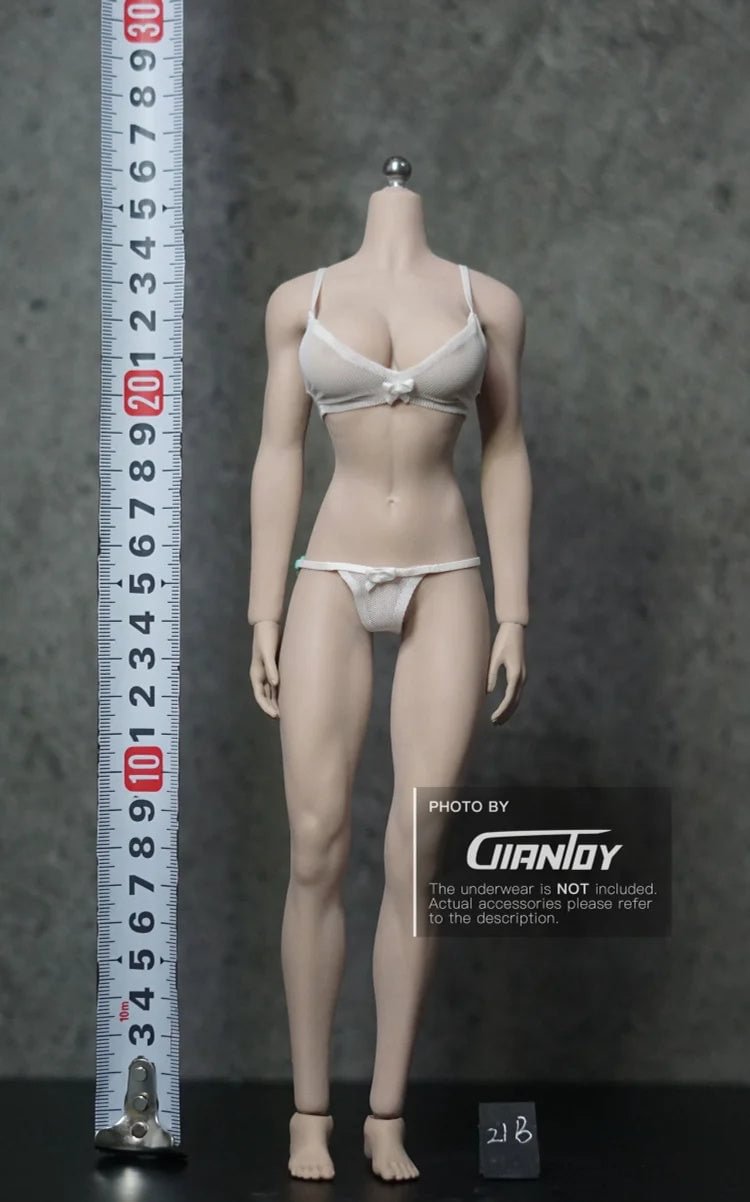 1/6 Phicen TBleague Female body Collection - S02A S06B S09C S12D S17B S19B S21B S23B S29B S33B S35B S37A S39A S43A