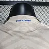 2024 Player Version Italy Special Edition Football Shirt 1:1 Thai Quality
