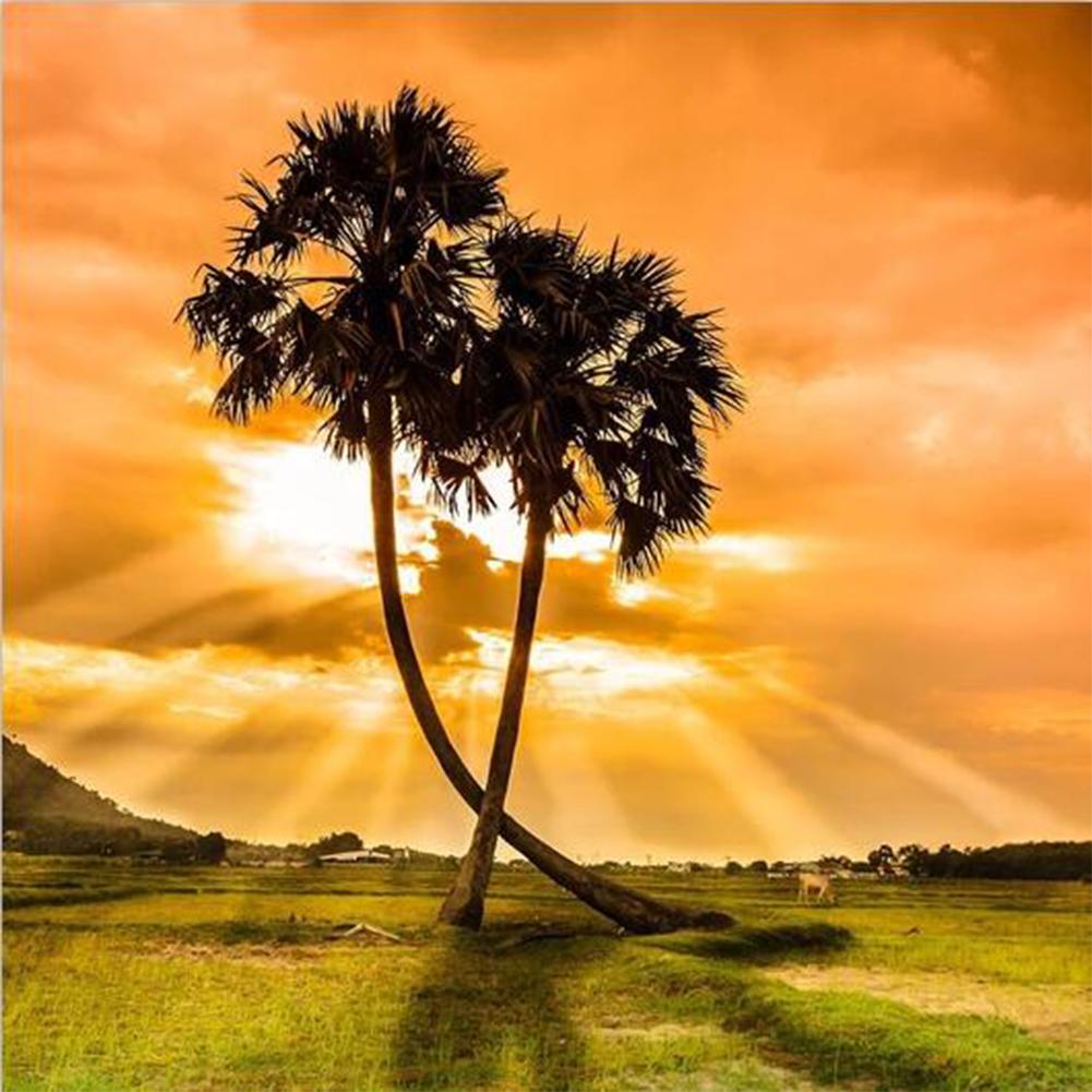 

Sunlight Palm Tree-Round Drill Diamond Painting-30*30CM, 501 Original