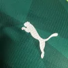 2023/2024 Player Version Palmeiras Home Jersey 1:1 Thai Quality