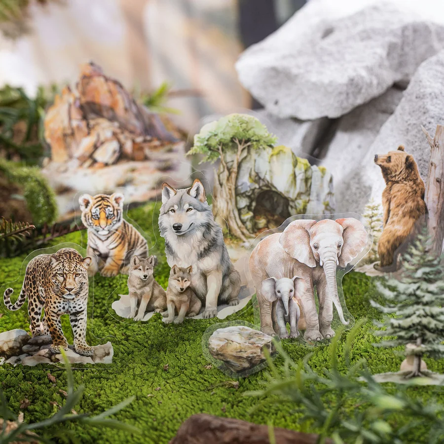 Animals & Insects