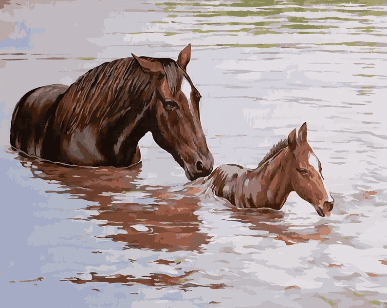 

Horse and Foal – Paint By Numbers - 40*50CM, 501 Original