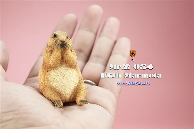 Mr.Z  MRZ054 1/6 Cavia Porcellus Marmota Model Cute Animal Statue Scene Home Decor Toy-aliexpress