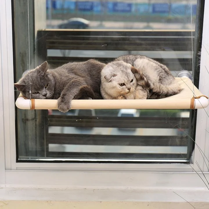 Indoor Cat Hammock