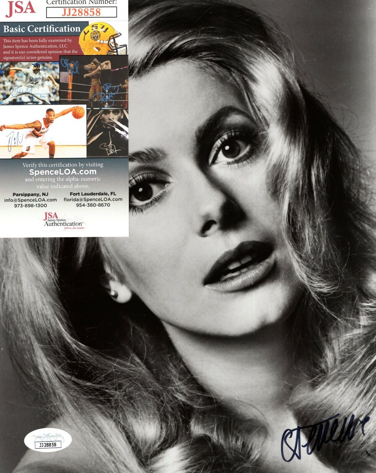 Catherine Deneuve French Actress Hand Signed Autograph 8x10 Photo Poster painting with JSA COA