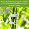 50/100/150 pi&egrave;ces Clips support pour plantes