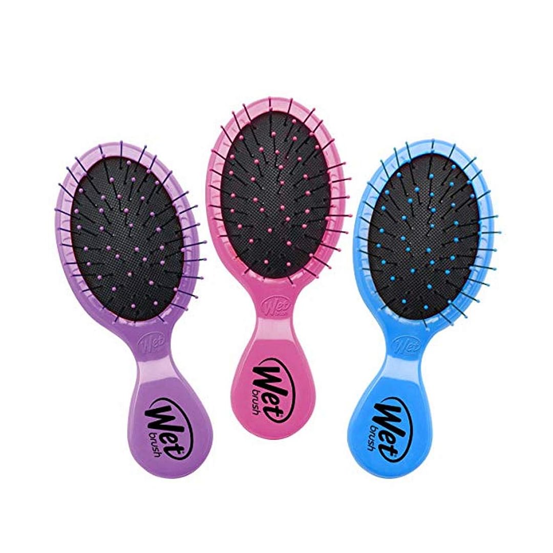 Multi-Pack Squirt Detangler Hair Brush with Soft IntelliFlex Bristles, Mini Travel Detangler - Pack of 3   (3 Count)