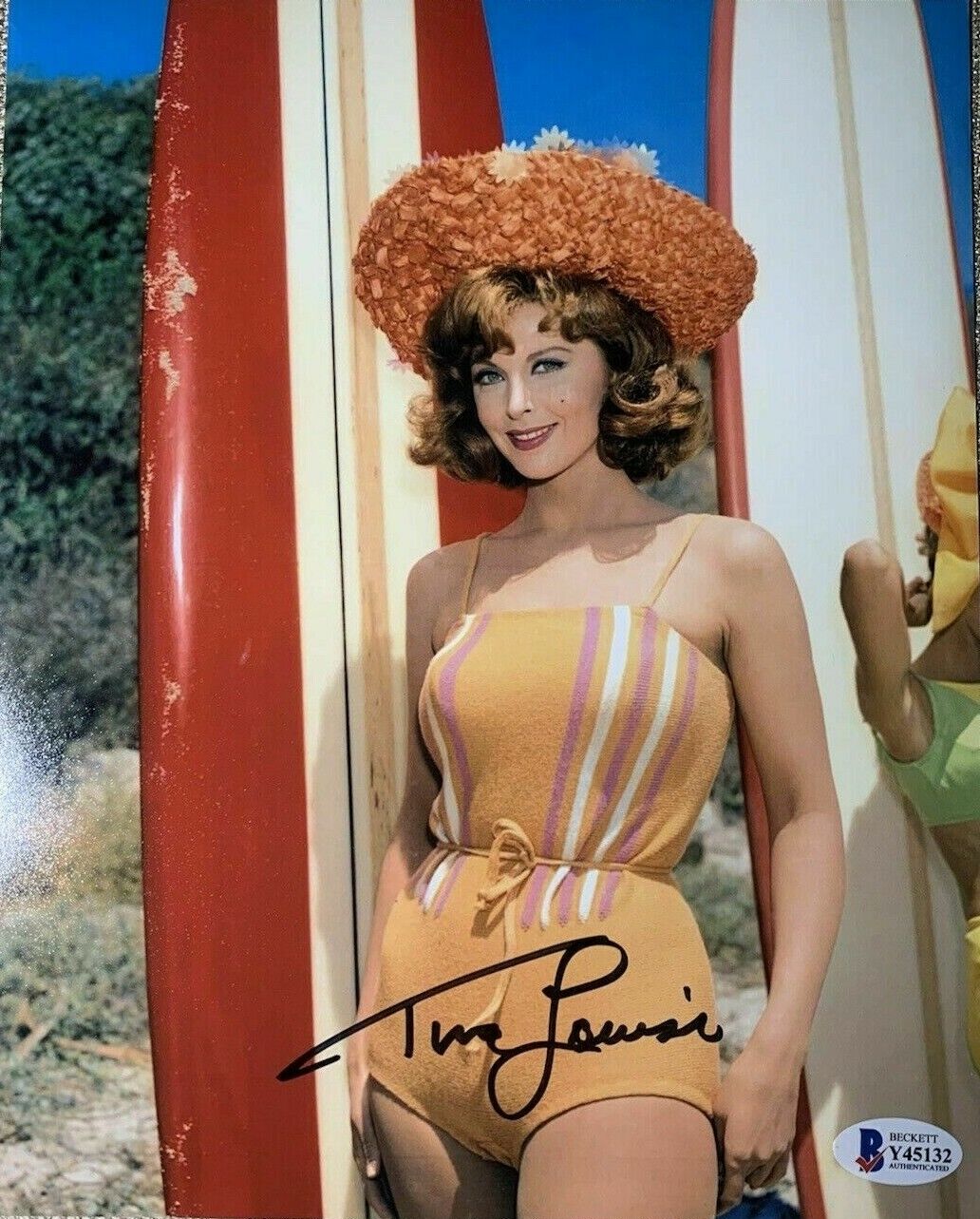 Tina Louise Signed 8x10 Photo Poster painting BAS BECKETT Swimsuit Sexy