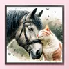 Horse And Cat-11CT Stamped Cross Stitch 40*40cm/15.75*15.75in tapestrymarket