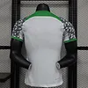 2022 Player Version Nigeria National Team Away Shirt