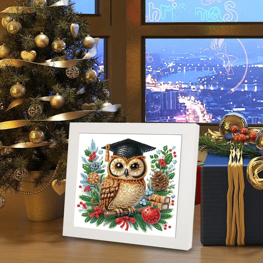 5D DIY Partial Special Shaped Drill Diamond Painting Xmas Owl 22.8x22.8cm【With Frame】