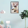 Diamond Painting-DIY Full Round Drill Cat(45*30 cm)