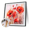 Painting By Numbers-Poppy(40*40CM)