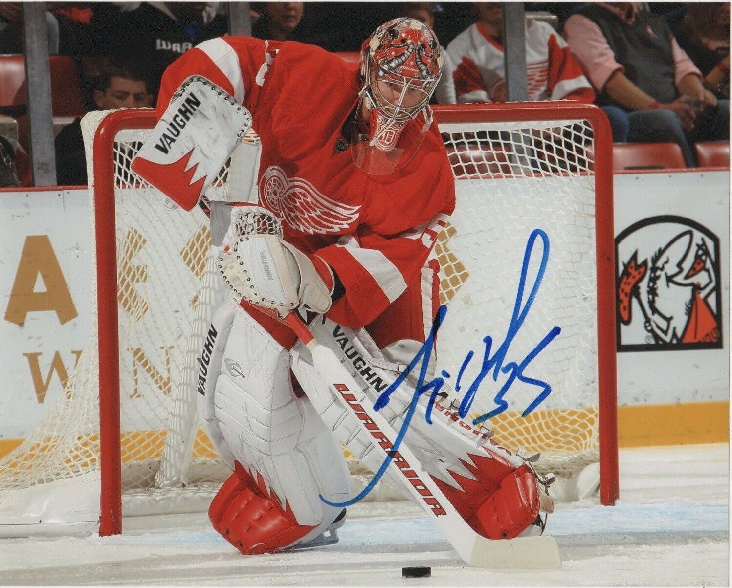 Detroit Red Wings Jimmy Howard Signed Autographed 8x10 Photo Poster painting COA #3