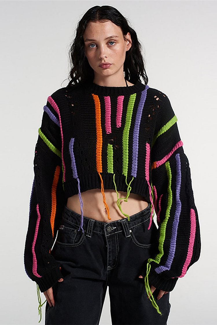 Multicolor Fringe Knit Patchwork Casual Crop Sweater