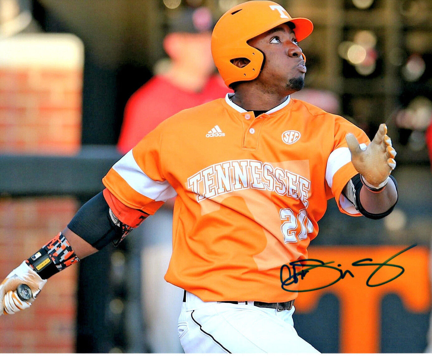 Christin Stewart signed autographed baseball 8x10 Photo Poster painting Tennessee Vols Tigers!
